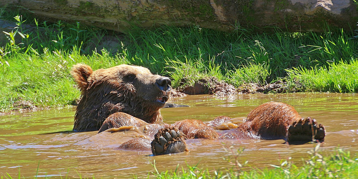 Hitzewallungen, Schweissausbrüche, menopause, Abänderung